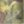 Colour : Woodland